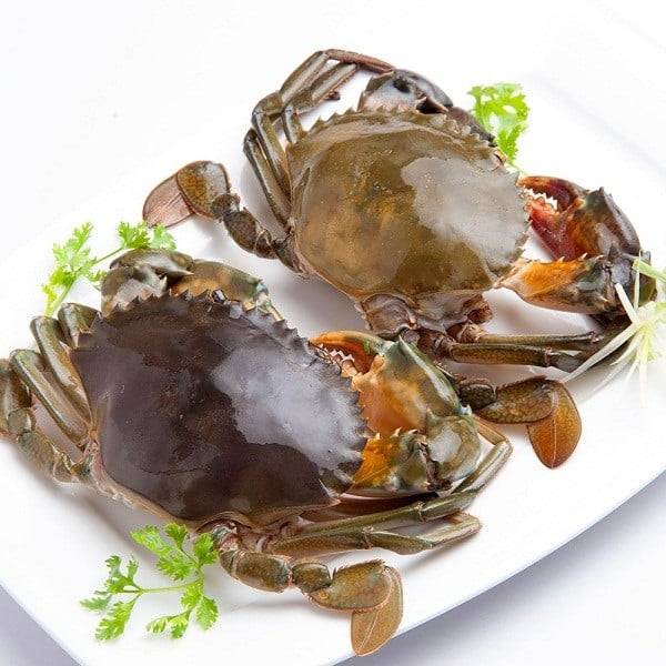 Tổng Kho Thịt Bò, Thịt Gà, Thịt Heo, Hải Sản Đông Lạnh Nhập Khẩu Uy Tín Tại Xã Đồng Phúc, Tỉnh Thái Nguyên