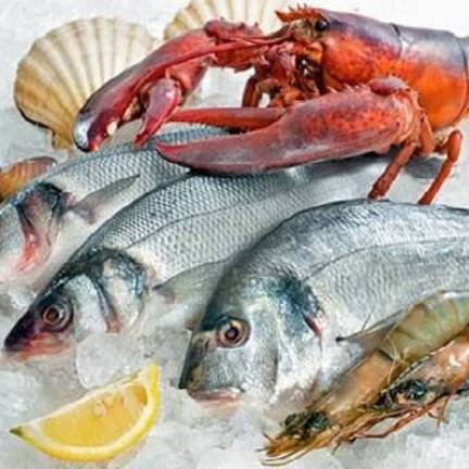 Địa Chỉ Kho Thịt Bò, Thịt Gà, Thịt Heo, Hải Sản Đông Lạnh tại Xã Yên Thành, Tỉnh Lào Cai