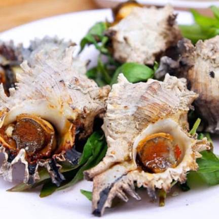 Tổng Kho Thịt Bò, Thịt Gà, Thịt Heo, Hải Sản Đông Lạnh Nhập Khẩu Tại Xã Quảng Bạch, Tỉnh Thái Nguyên