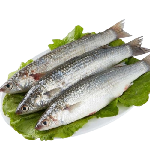Tổng Kho Thịt Bò, Thịt Gà, Thịt Heo, Hải Sản Đông Lạnh tại Xã Hợp Thành, tỉnh Lào Cai
