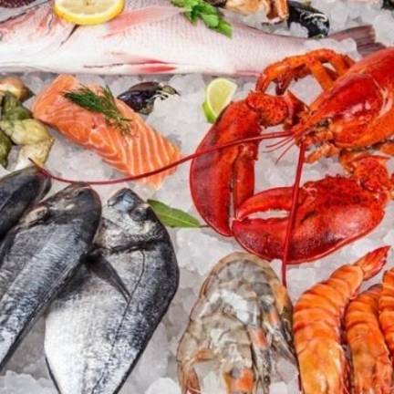 Tổng Kho Thịt Bò, Thịt Gà, Thịt Heo, Hải Sản Đông Lạnh Xã Phù Yên, huyện Phù Yên, tỉnh Sơn La