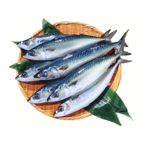 Tổng Kho Thịt Bò, Thịt Gà, Thịt Heo, Hải Sản Đông Lạnh Xã Tà Xùa, tỉnh Sơn La