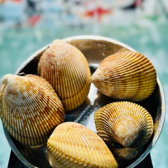 VIFOOD – Tổng Kho Thịt Bò, Thịt Gà, Thịt Heo, Hải Sản Đông Lạnh tại Xã Co Mạ, tỉnh Sơn La