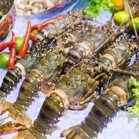 Tổng Kho Thịt Bò, Thịt Gà, Thịt Heo, Hải Sản Đông Lạnh tại Phường Chiềng Sinh, tỉnh Sơn La
