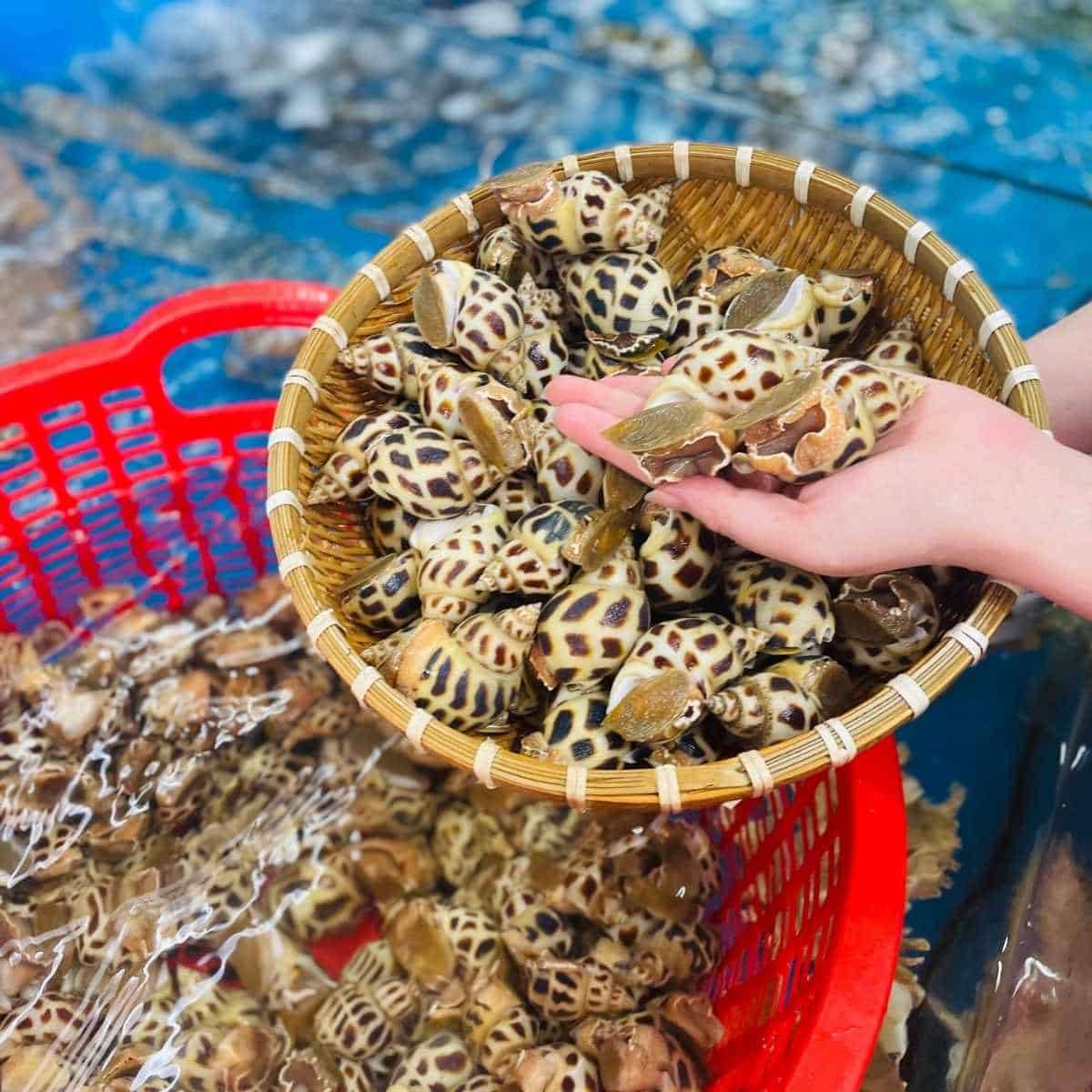 Thịt Bò, Thịt Gà, Thịt Heo, Hải Sản Đông Lạnh nhập khẩu tại xã Mường Toong, tỉnh Điện Biên