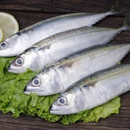  Địa chỉ bán Thịt Bò, Thịt Gà, Thịt Heo, Hải Sản Đông Lạnh Nhập Khẩu Uy Tín tại Xã Vân Đình, Hà Nội