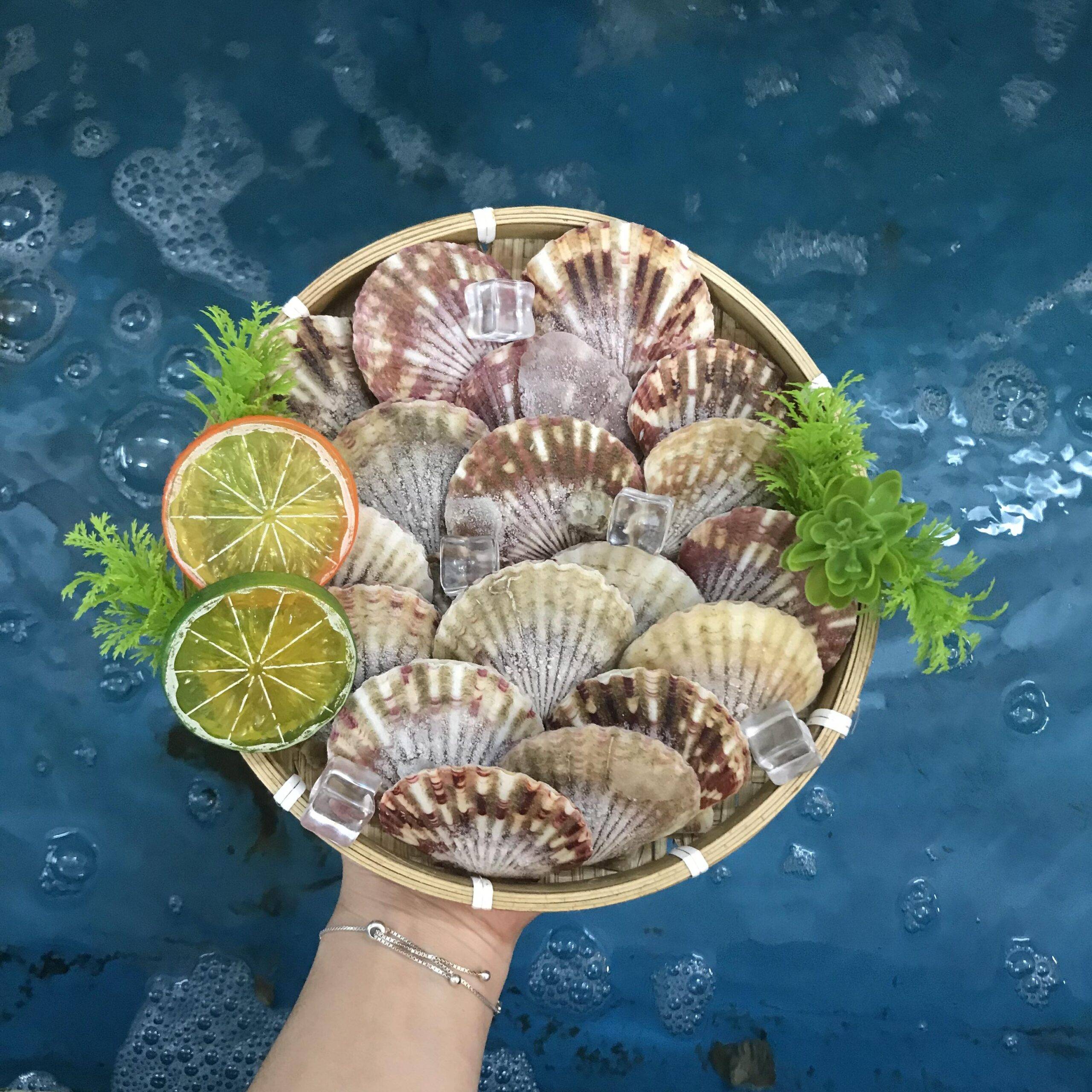 Cung Cấp Thịt Bò, Thịt Gà, Thịt Heo, Hải Sản Đông Lạnh Nhập Khẩu Uy Tín Tại Xã Phúc Lộc, Hà Nội
