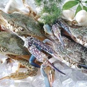 Sỉ Lẻ Thịt Bò, Thịt Gà, Thịt Heo, Hải Sản Đông Lạnh tại Xã Thuận Hòa, Tỉnh Tuyên Quang