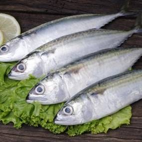 Tổng Kho Thịt Bò, Thịt Gà, Thịt Heo, Hải Sản Đông Lạnh Xã Ngọc Long, Tỉnh Tuyên Quang
