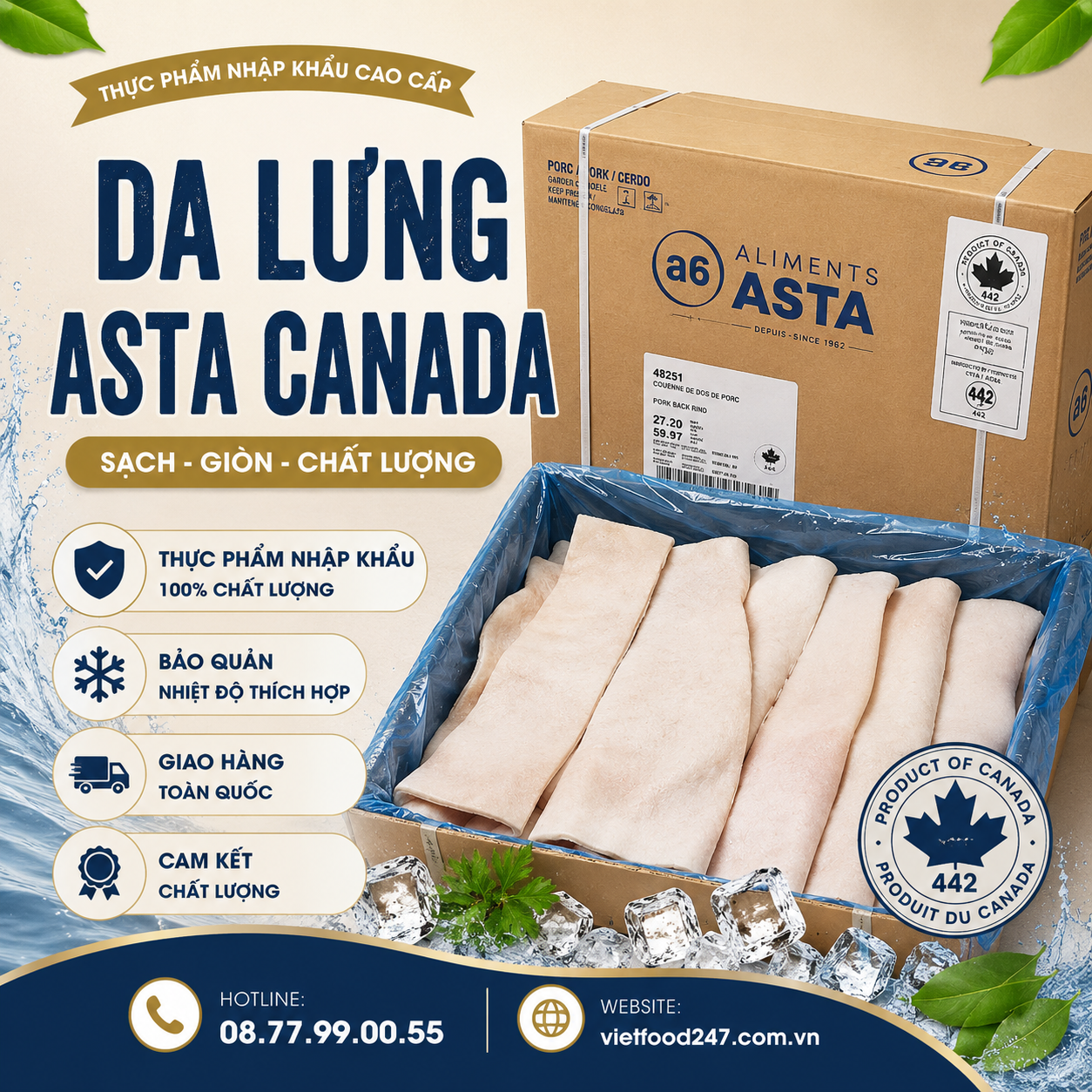 Da Lưng Asta Canada