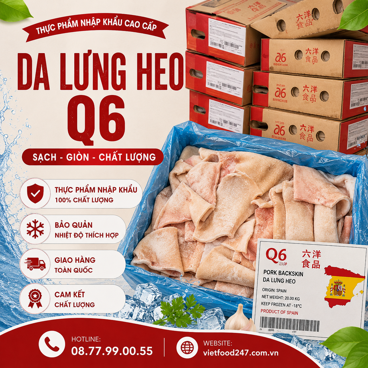 Da Lưng Q6