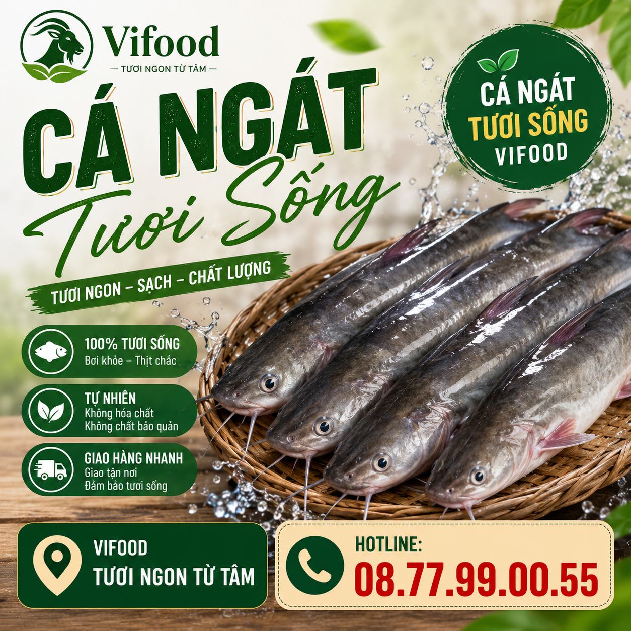 Cá ngát tươi sống giá sỉ