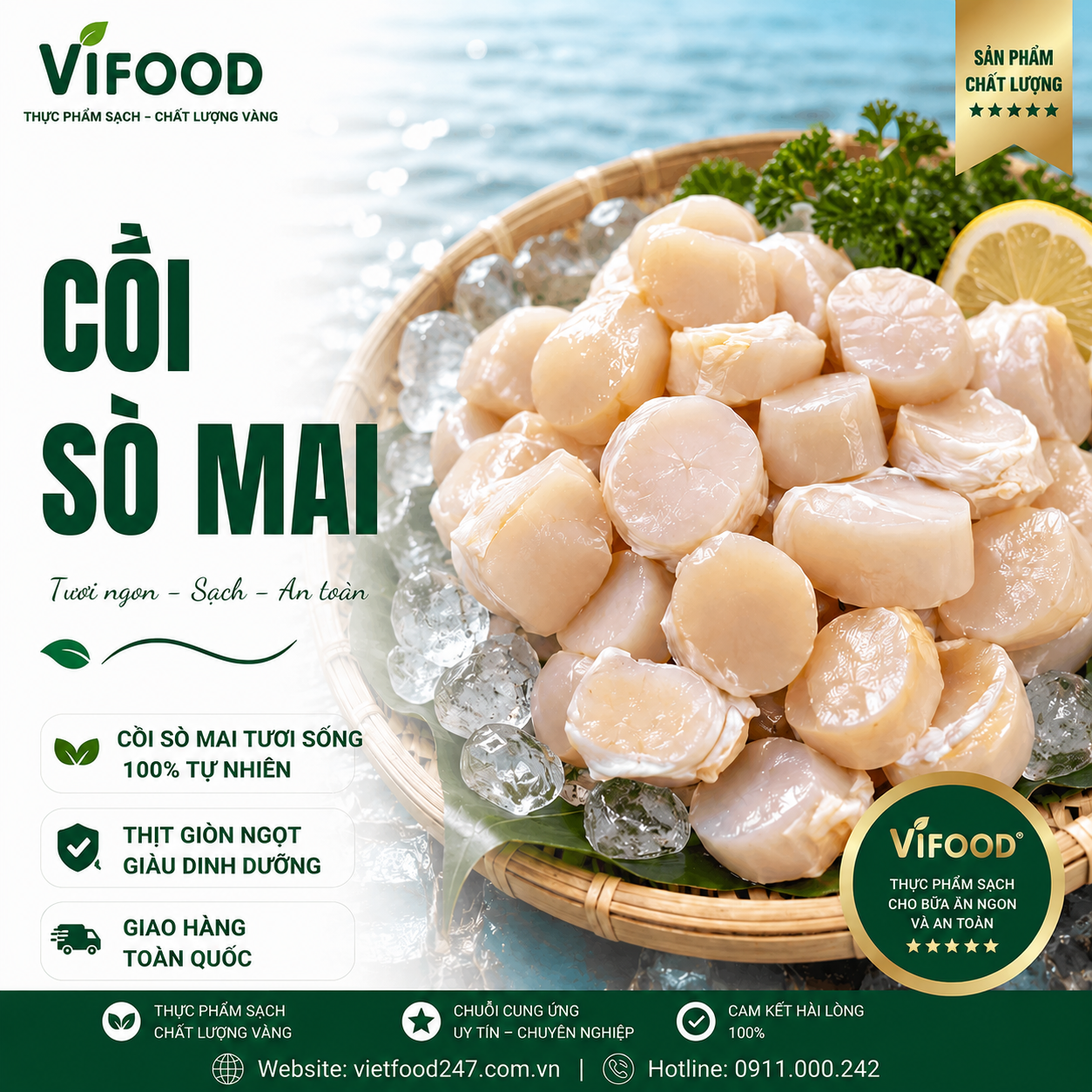 Cồi Sò Mai Tại TPHCM - Nhà Cung Cấp Hải Sản Uy Tín