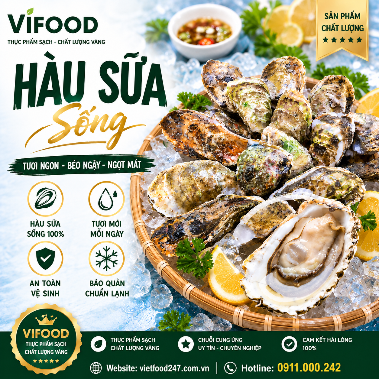 Địa Chỉ Bán Hàu Sữa Tươi Sống tại Tây Ninh Uy Tín, Giá Sỉ