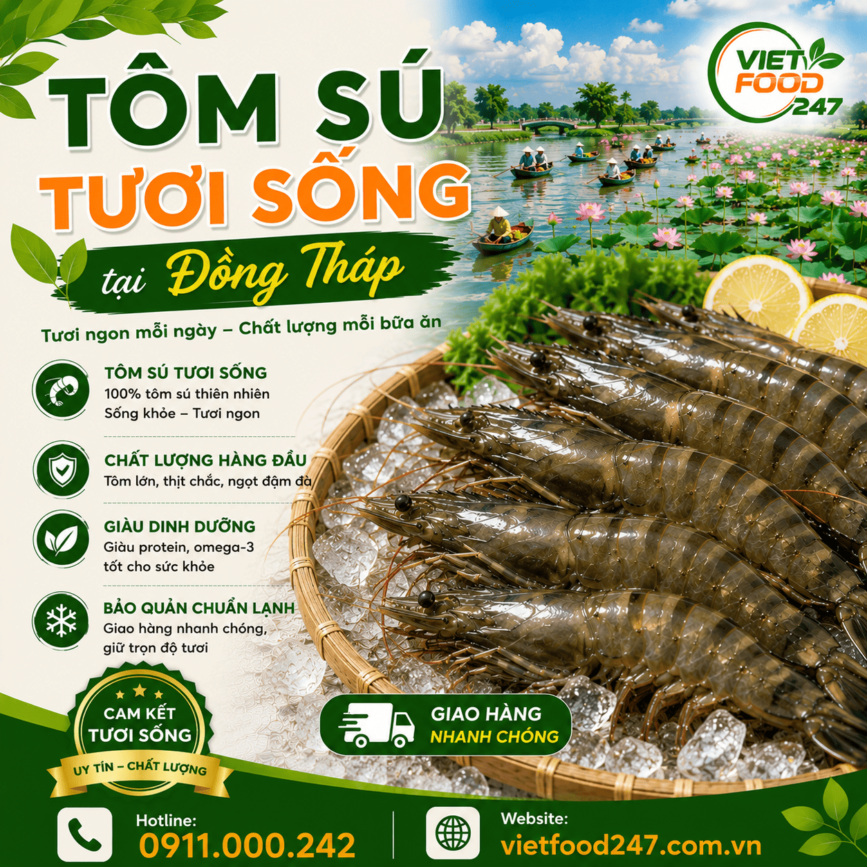 Giá Tôm Sú Tươi Sống tại Đồng Tháp Mới Nhất