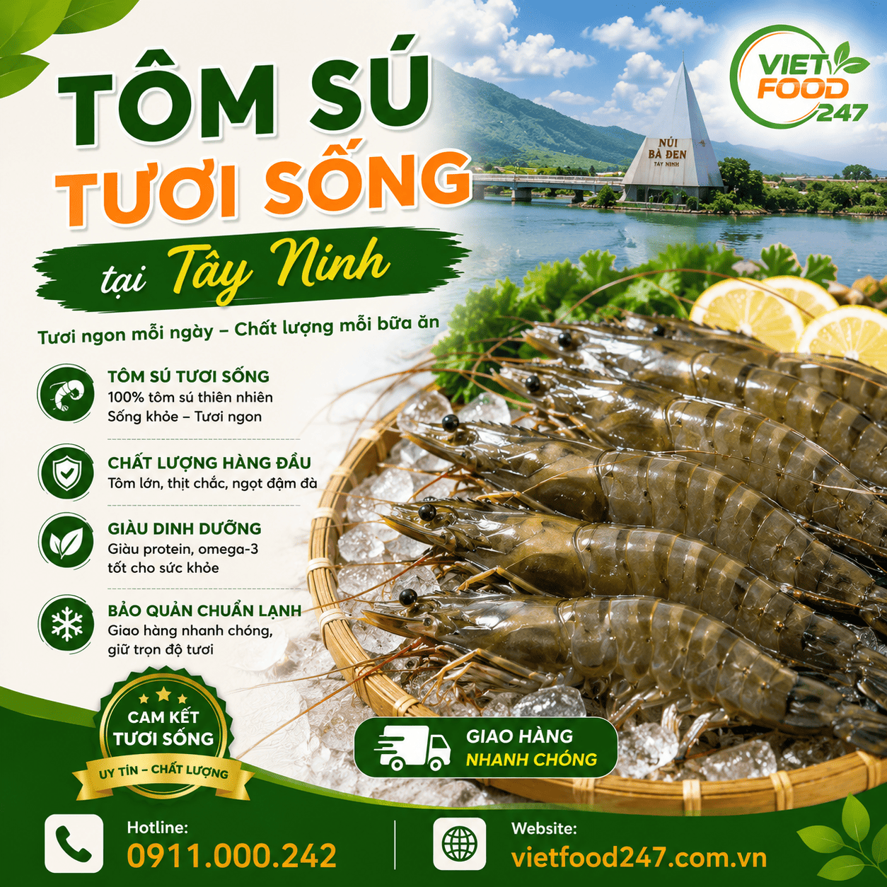 Cung Cấp Tôm Sú Tươi Sống tại Tây Ninh Cho Nhà Hàng & Đại Lý