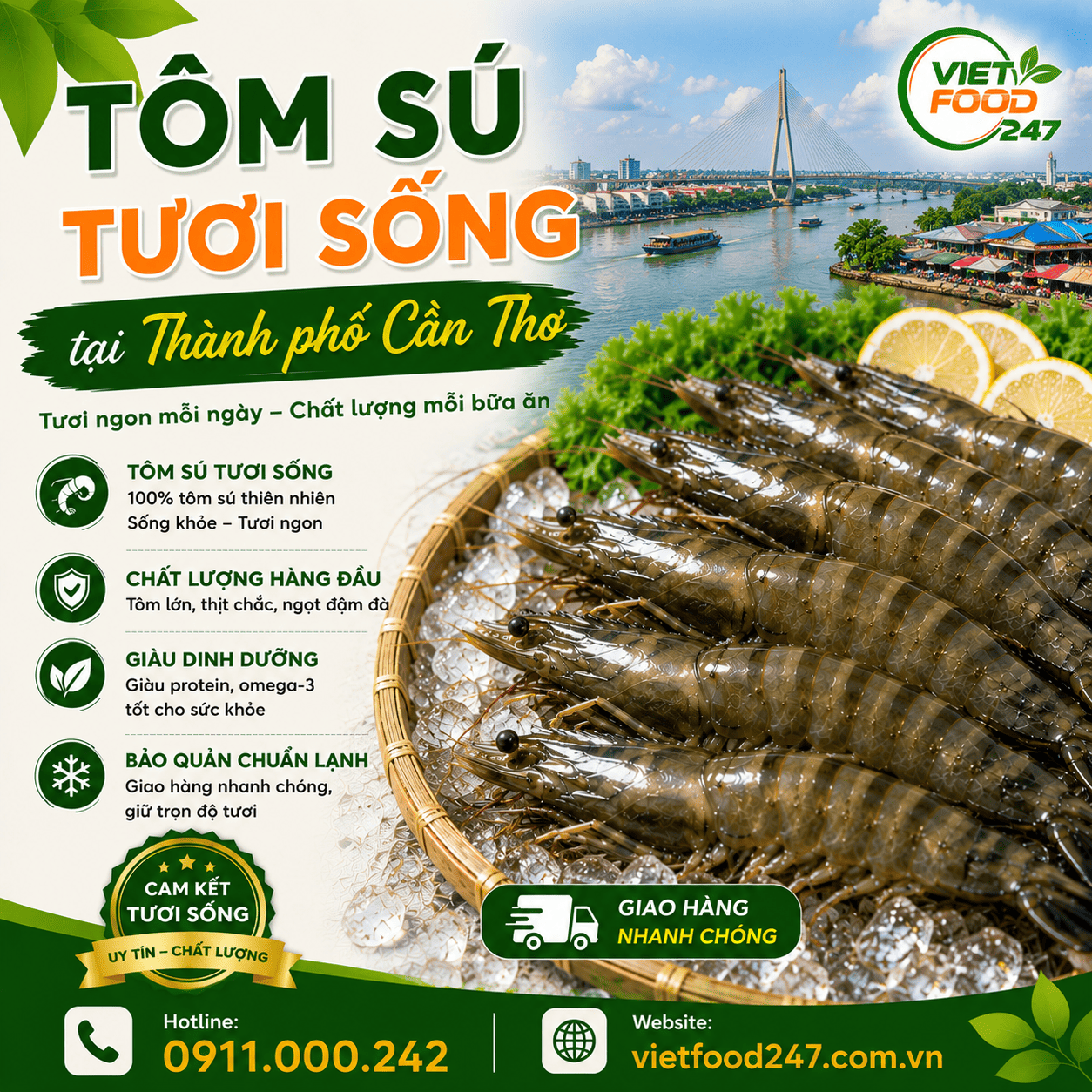 Cung Cấp Tôm Sú Tươi Sống tại Thành phố Cần Thơ Giá Tốt