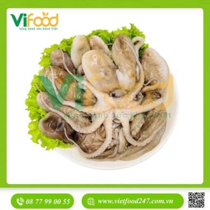 Bạch tuộc sống 3-4 con/kg