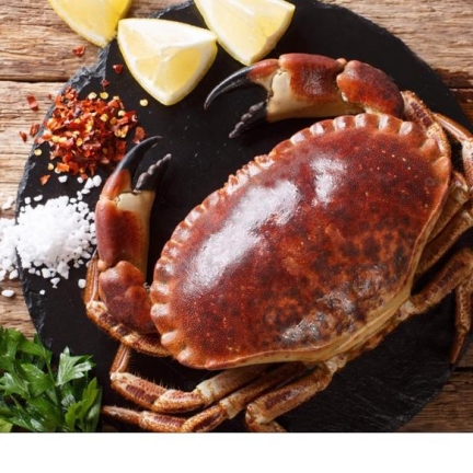 Tổng Kho Thịt Bò, Thịt Gà, Thịt Heo, Hải Sản Đông Lạnh tại Phường Bá Xuyên, Tỉnh Thái Nguyên