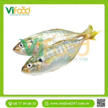 Cá bạc má tươi 4-5 con/kg