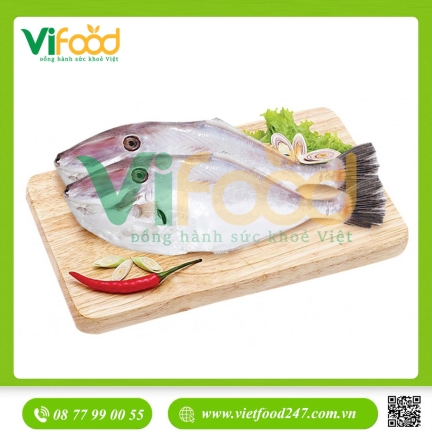 Cá bò da tươi đã lột da 1,5-2 kg/con