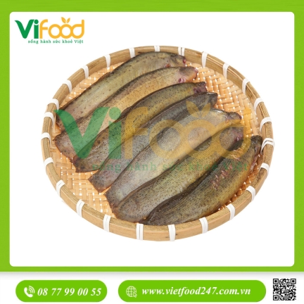 Cá chạch quế (chạch sụn) sống Size 6-7 con/kg