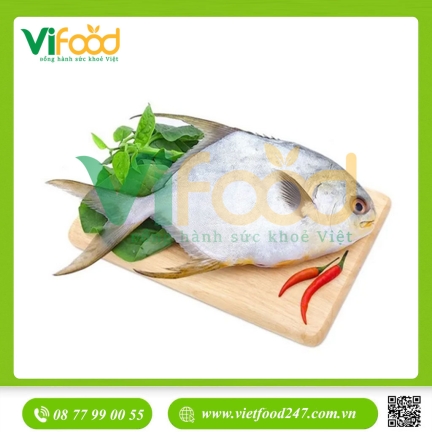 Cá chim trắng biển 1-1,5 kg/con