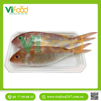 Cá đổng tươi 6-7 con/kg