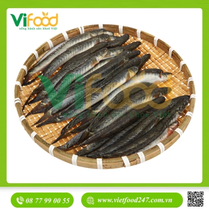 cá kèo tươi sống size 4- 50 con