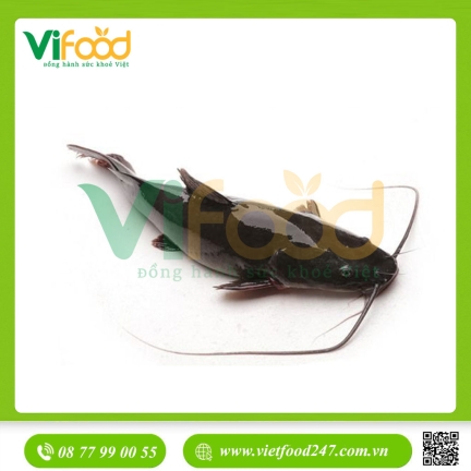 Cá Lăng tươi sống