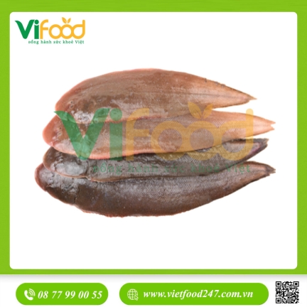 Cá lưỡi trâu tươi 7-8 con/kg
