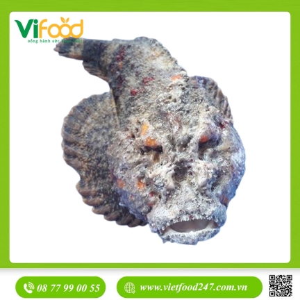 Cá mặt quỷ (1- 3 Kg)