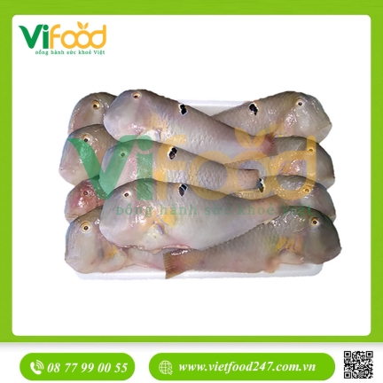 Cá mó tươi 10-15 con/kg