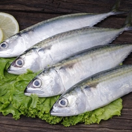 VIFOOD - Thịt Bò, Thịt Gà, Thịt Heo, Hải Sản Đông Lạnh tại Xã Xuân Đài, Tỉnh Phú Thọ