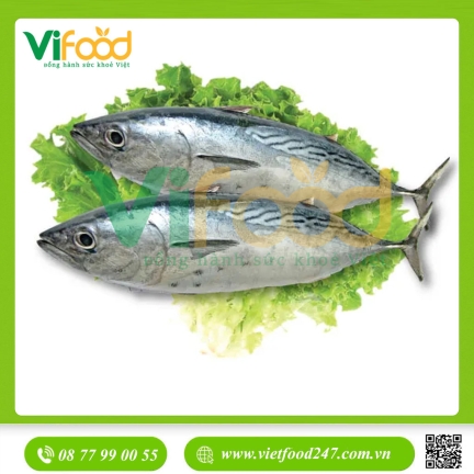 Cá ngừ tươi size 0,7-1 kg/con
