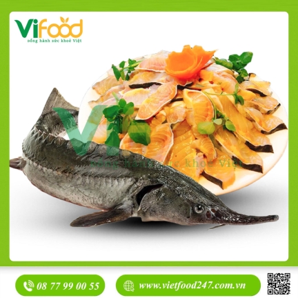 Cá tầm sống size 2-2,5 kg/con