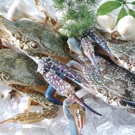 VIFOOD - Tổng Kho Thịt Bò, Thịt Gà, Thịt Heo, Hải Sản Đông Lạnh tại Xã Chí Tiên, Tỉnh Phú Thọ