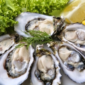 VIFOOD - Thịt Bò, Thịt Gà, Thịt Heo, Hải Sản Đông Lạnh tại Xã Tân Sơn, Tỉnh Phú Thọ