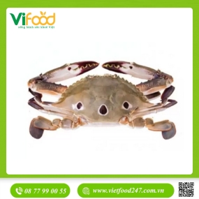 Ghẹ Đông Lạnh Nguyên Con