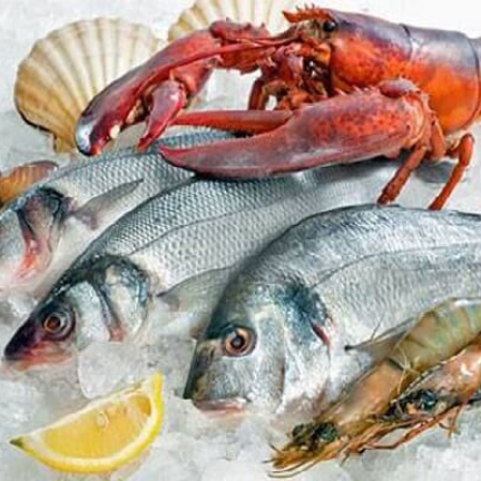 VIFOOD - Tổng Kho Thịt Bò, Thịt Gà, Thịt Heo, Hải Sản Đông Lạnh tại Xã Liên Sơn, Tỉnh Phú Thọ