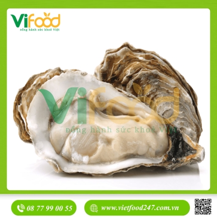Hàu Sữa Sống