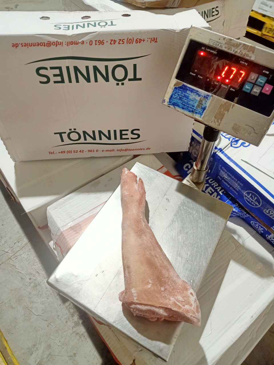 Chân Giò Trước Nguyên Cái Tonnies