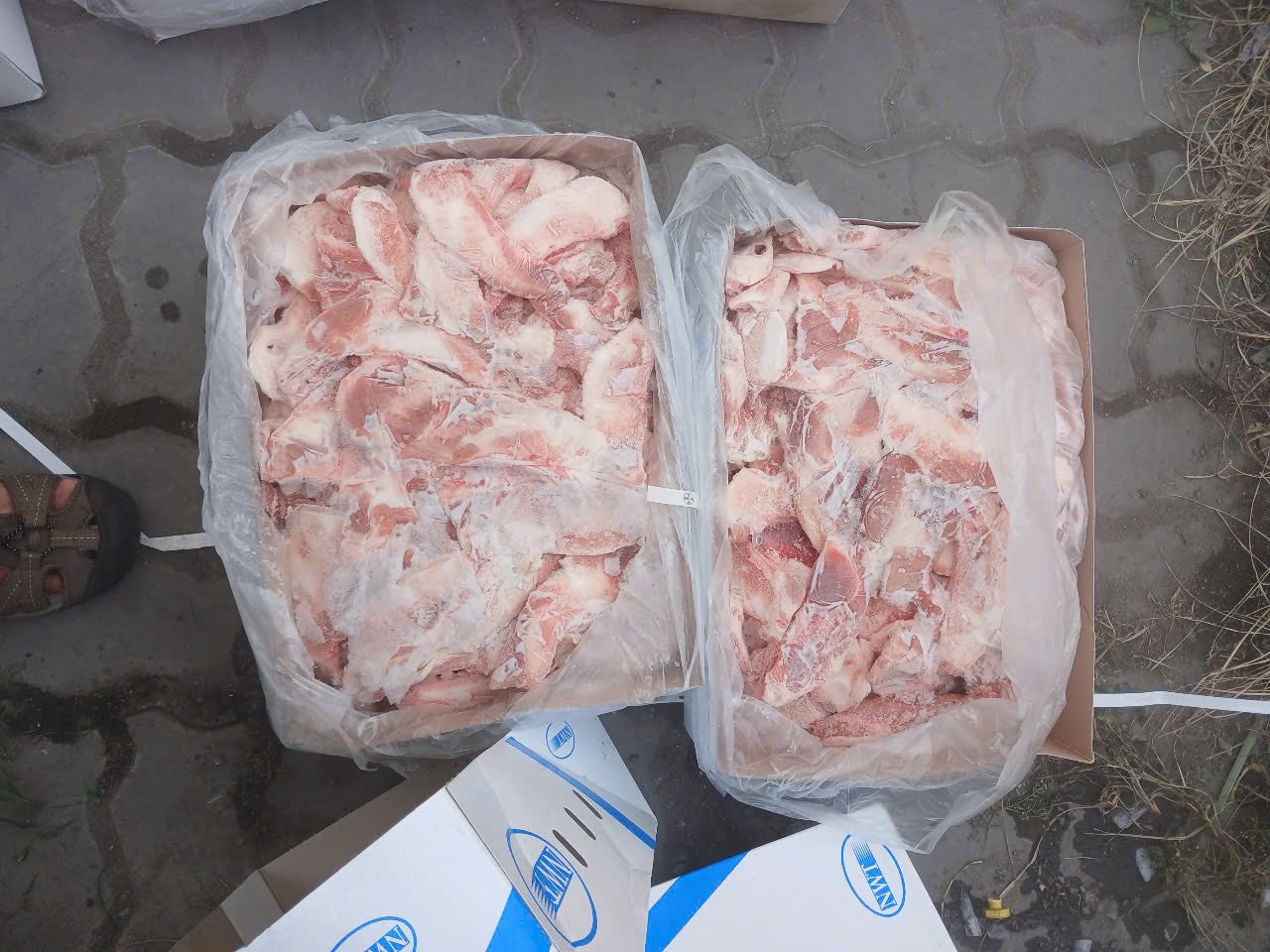 Sụn Mặt Trăng NWT