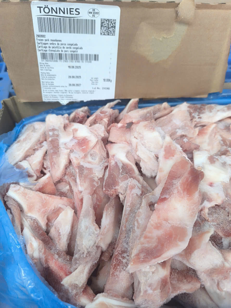 Sụn Mặt Trăng Toni