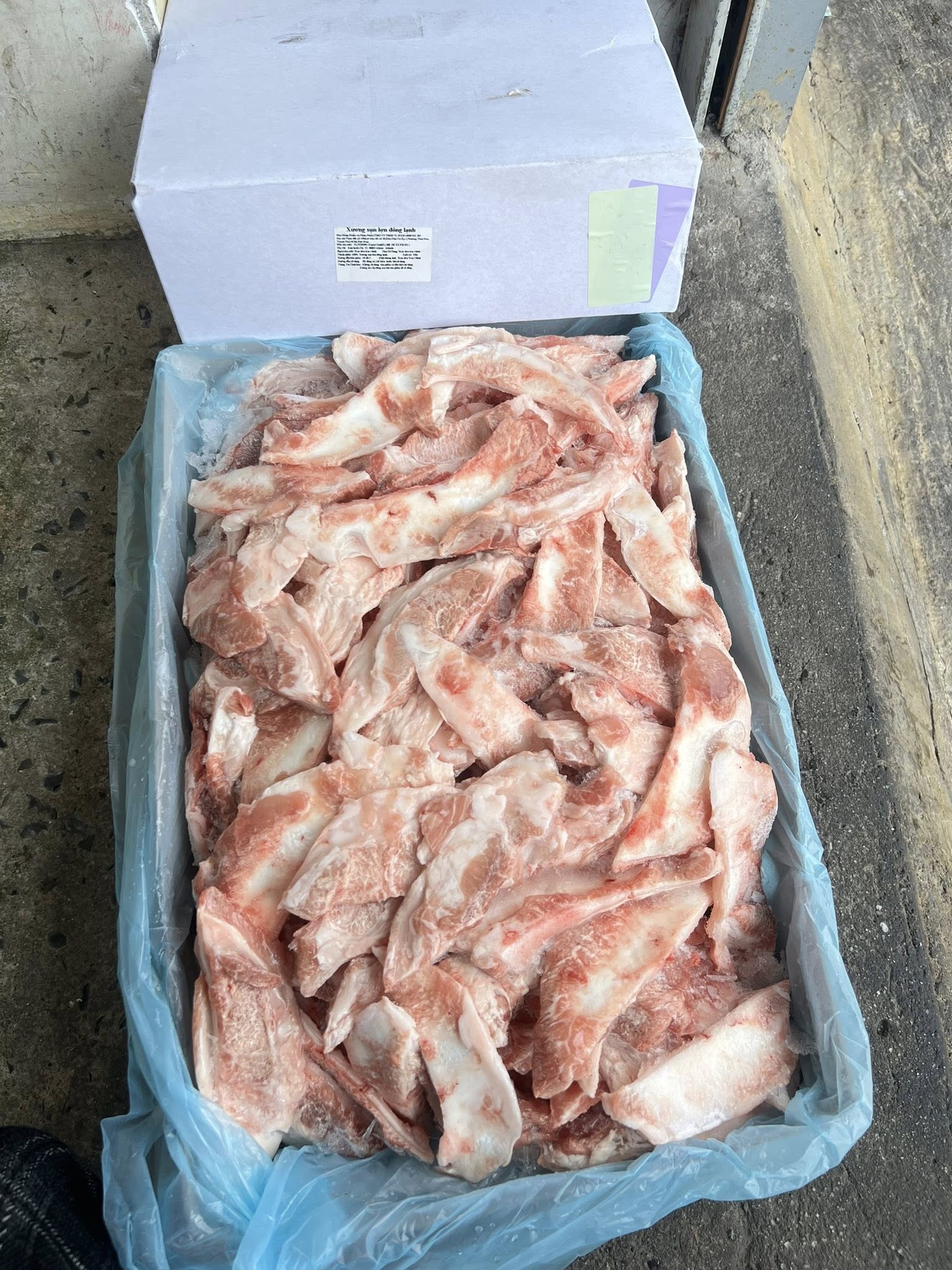 Sụn Mặt Trăng Effering