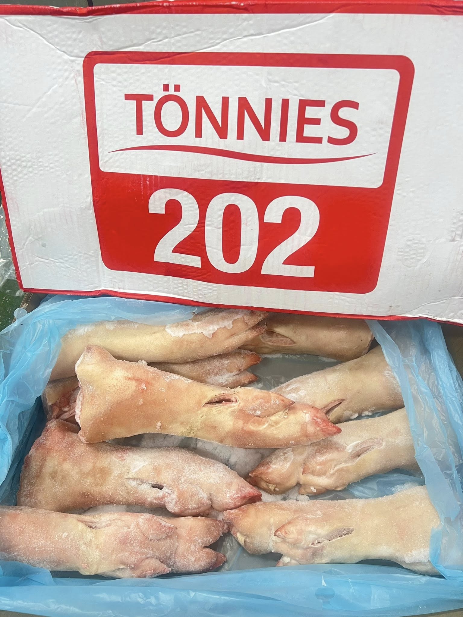 Dựng Sau Tonnies