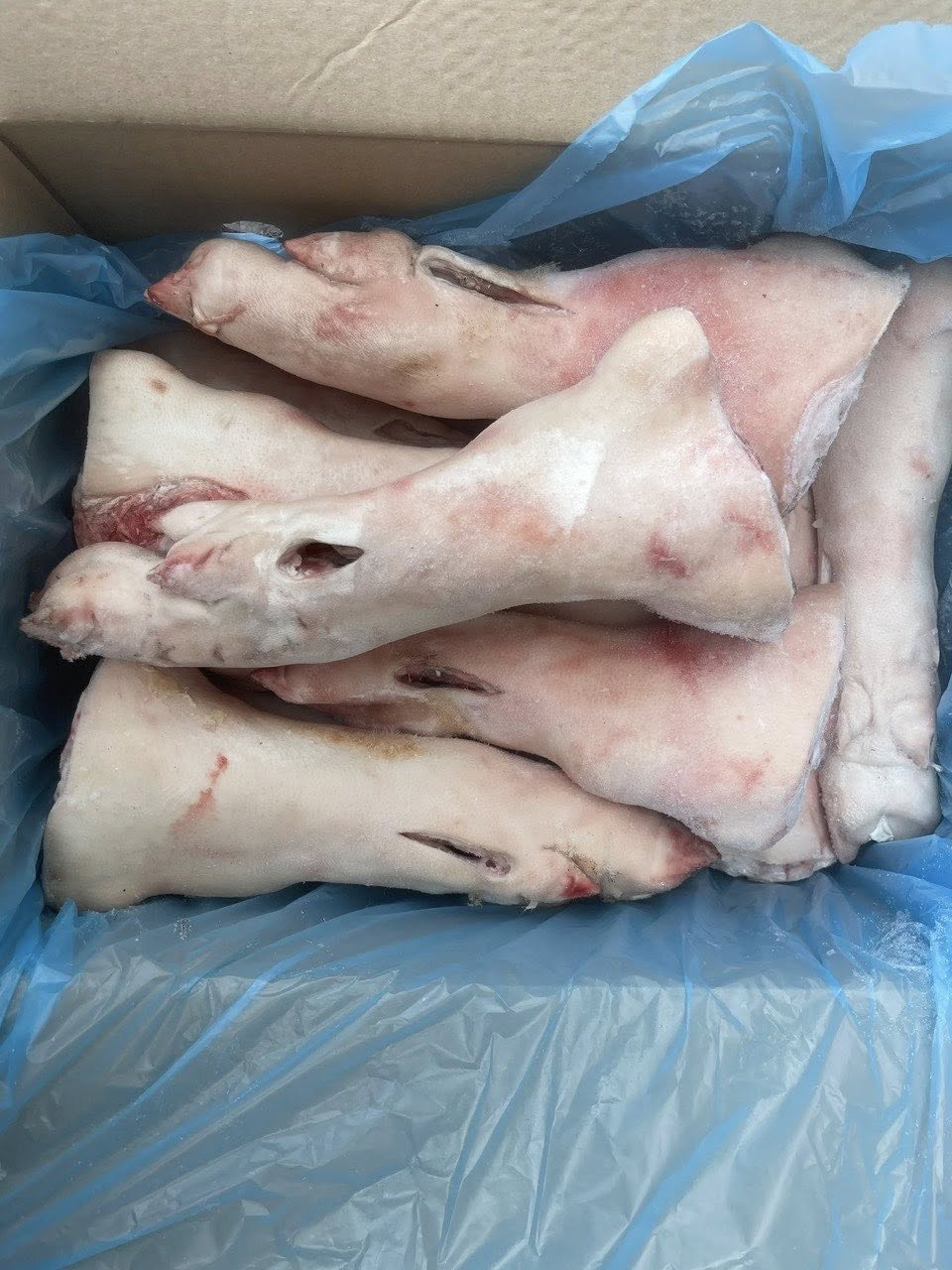 Dựng Sau Heo Arad Nhập Khẩu Chất Lượng Cao Giá Sỉ Toàn Quốc