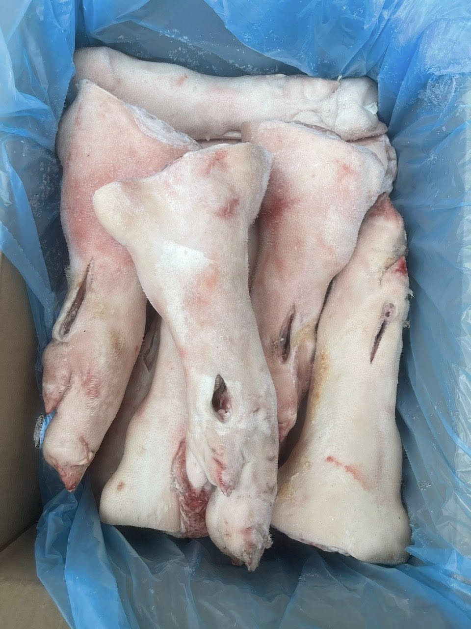 Dựng Sau Heo Arad Đông Lạnh Nhập Khẩu