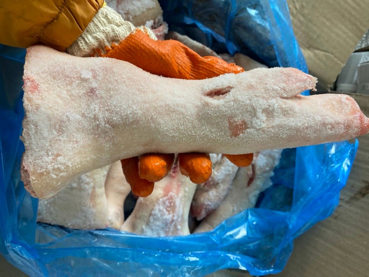 Dựng Sau Heo MPK Nga Nhập Khẩu Chính Ngạch Giá Tốt