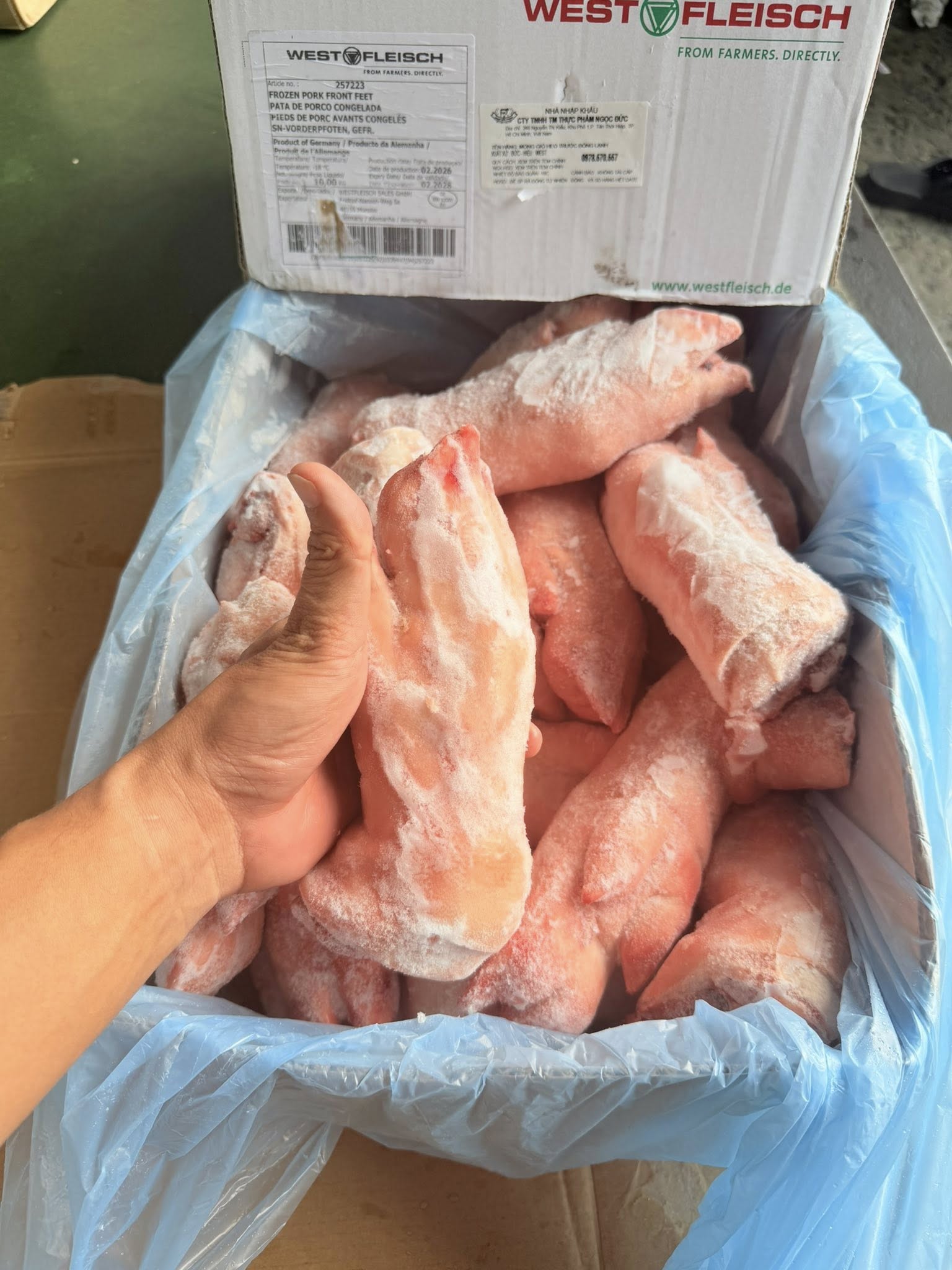 Dựng Trước Heo West 206 Nhập Khẩu Chất Lượng Cao Giá Tốt